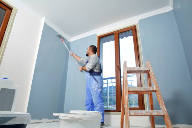 Best Painting for New Construction  in Rosemont, IL